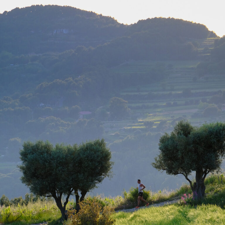 Infinitrail de Canadel Trail de Canadel infini printemps ciel vignes restanques infinitytrail backyard -1