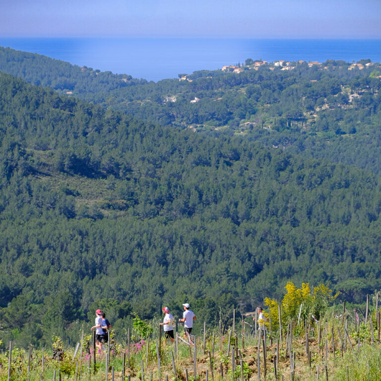 Infinitrail de Canadel Trail de Canadel infini printemps ciel vignes restanques infinitytrail backyard -12