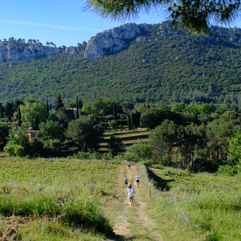 Infinitrail de Canadel Trail de Canadel infini printemps ciel vignes restanques infinitytrail backyard -14
