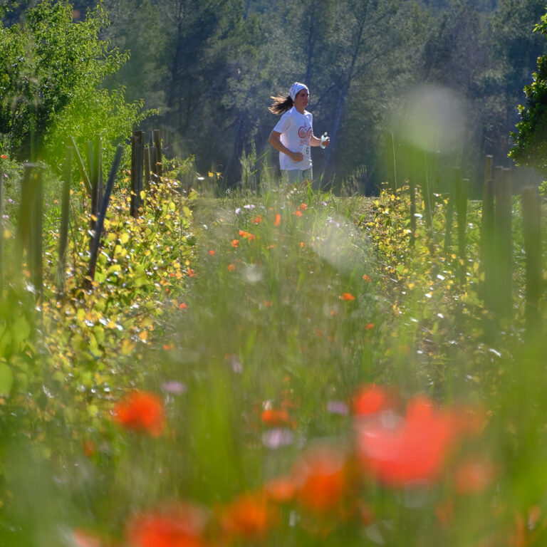 Infinitrail de Canadel Trail de Canadel infini printemps ciel vignes restanques infinitytrail backyard -15
