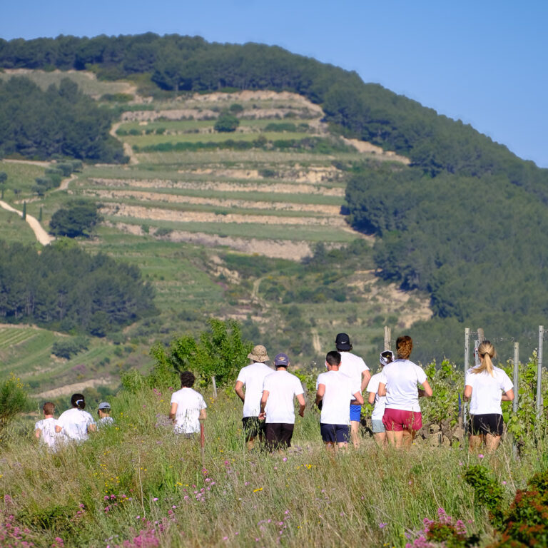 Infinitrail de Canadel Trail de Canadel infini printemps ciel vignes restanques infinitytrail backyard -16