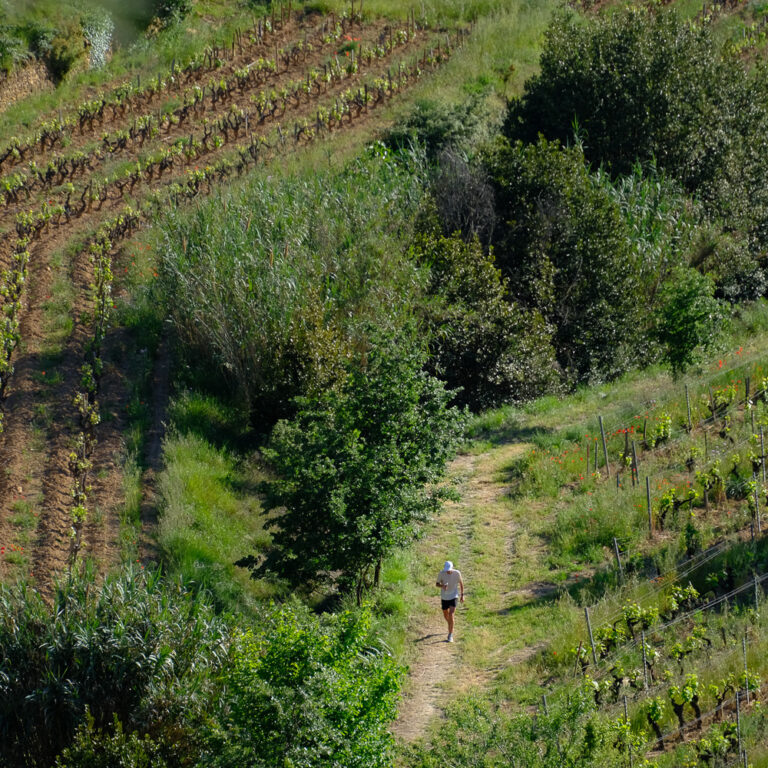Infinitrail de Canadel Trail de Canadel infini printemps ciel vignes restanques infinitytrail backyard -3