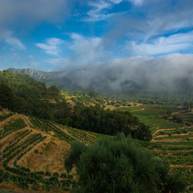 nuages marins brume marine ete provence gros cerveau bandol